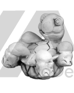 Żółwie, żółwiki, figurki zwierząt z betonu